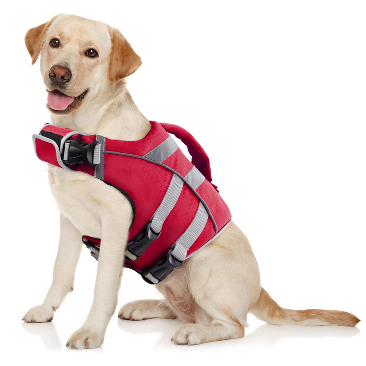 Dog Life Jacket - Zorg Ervoor Dat De Wateravonturen Van