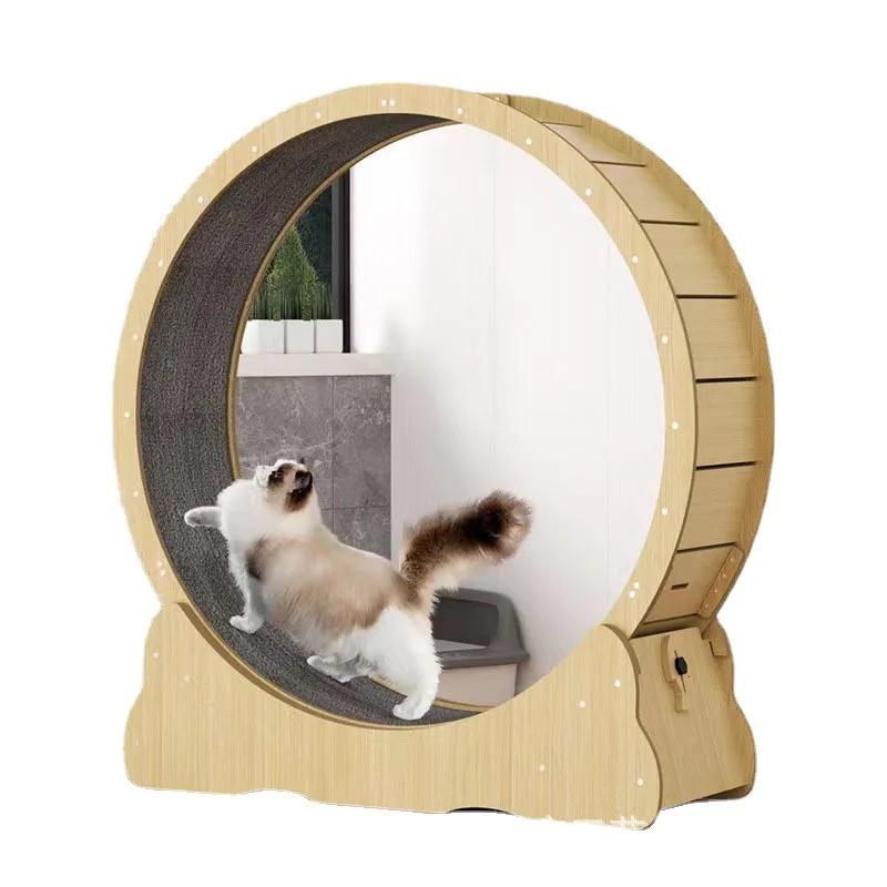 Interactive Cat Toy - Kat fitnesswiel binnenspeelgoed kat interactief speelgoed