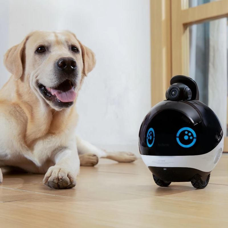 Interactive Cat Toy - Slimme Familie Robot HD Monitoring Real-time