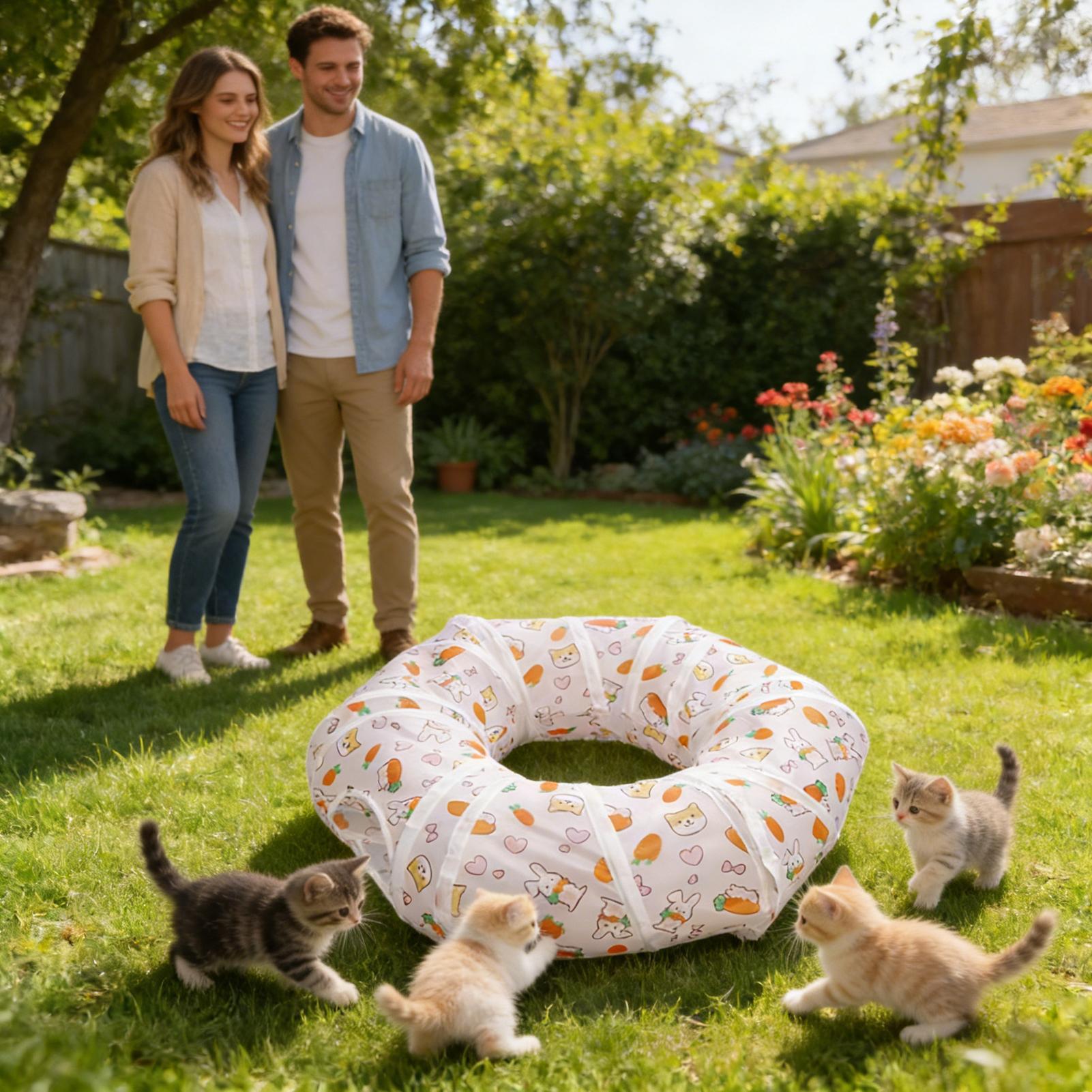 Interactieve opvouwbare katten - Interactive Cat Toy recensie en prijs