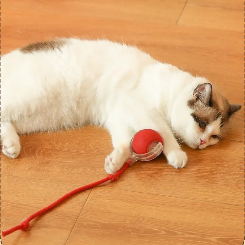 HOT Smart Cat Toys Automatisch - Pet Supplies First recensie en prijs