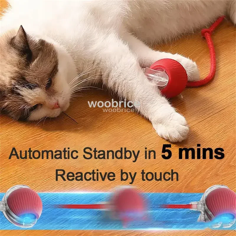 HOT Smart Cat Toys Automatisch - Pet Supplies First recensie en prijs
