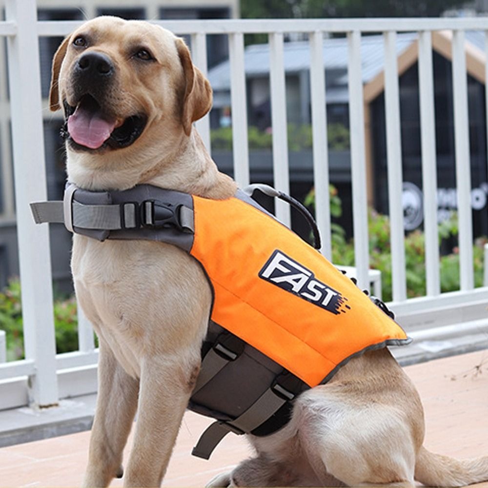 Verstelbaar zwemvest voor huis - Dog Life Jacket recensie en prijs