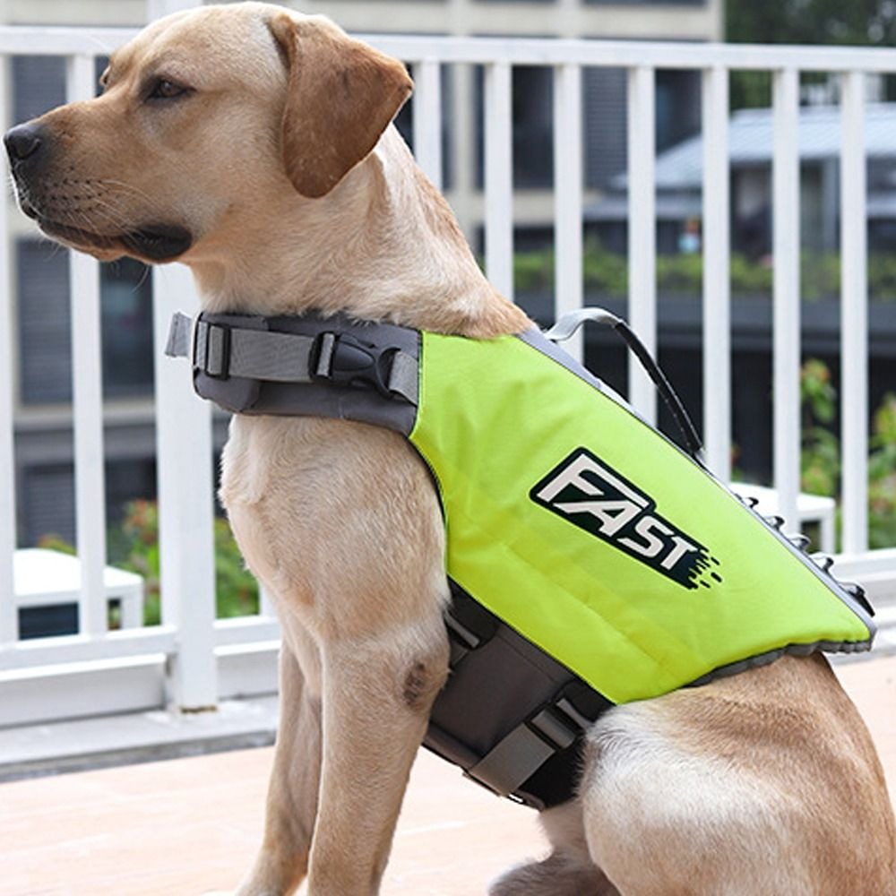 Verstelbaar zwemvest voor huis - Dog Life Jacket recensie en prijs