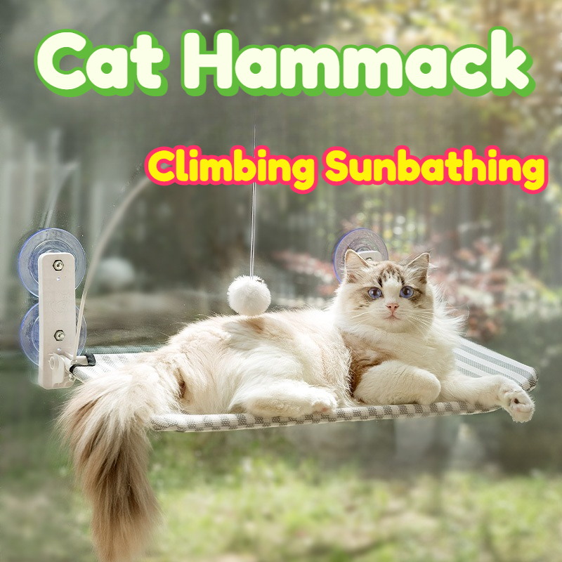 Kattenhangmat Raamhangende zit - Interactive Cat Toy recensie en prijs