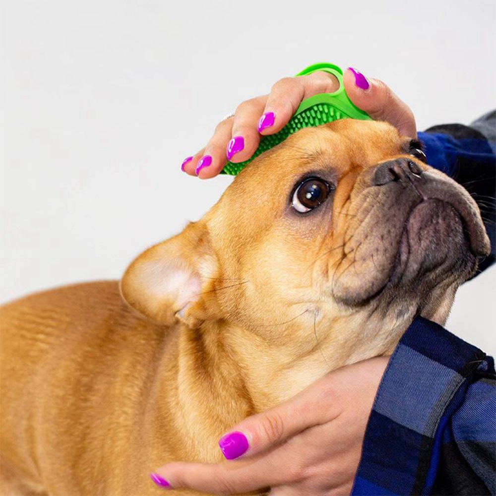 Reinigingsborstel voor huisdie - Pet Supplies Dropshipping recensie en prijs