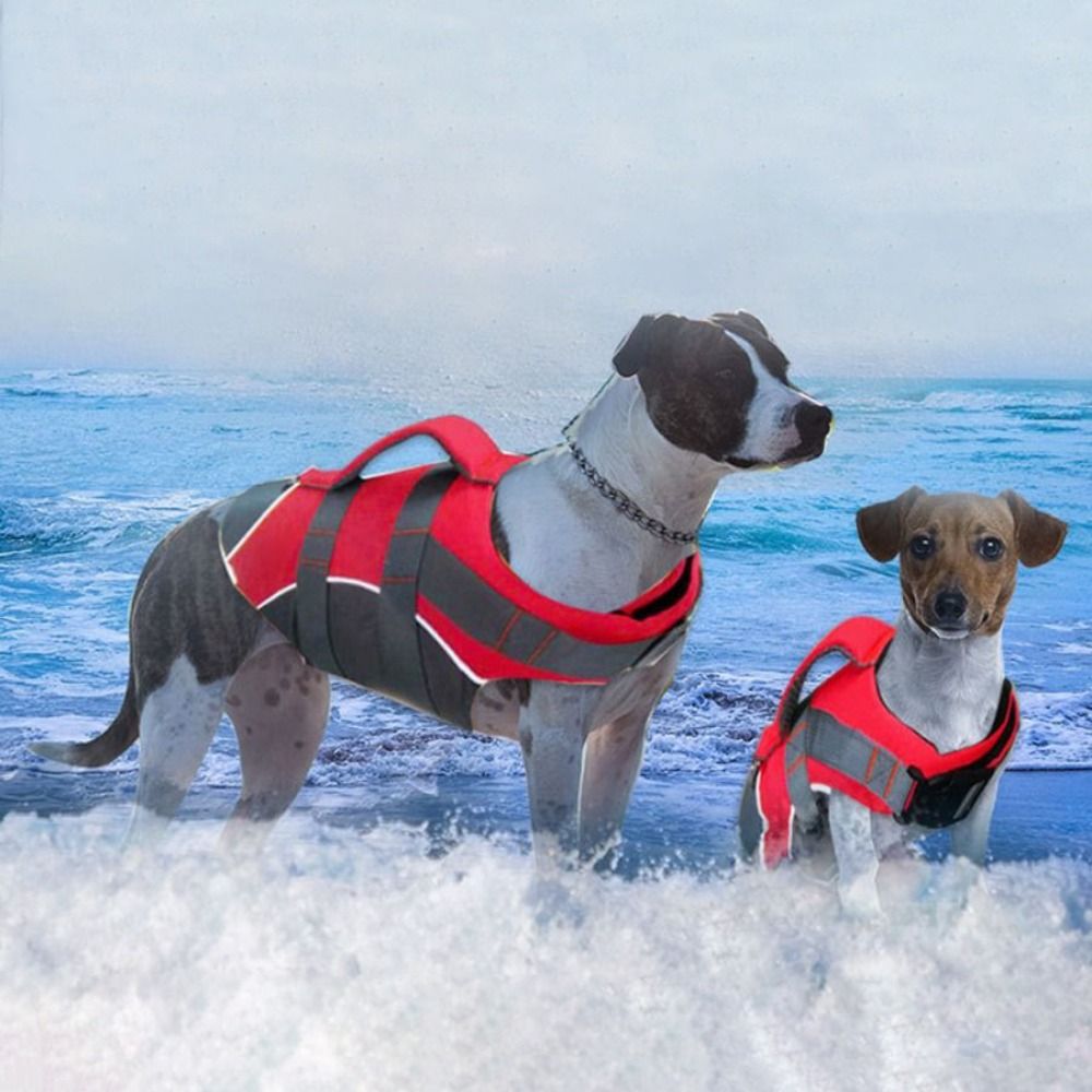 Reflecterend reddingsvest voor - Dog Life Jacket recensie en prijs