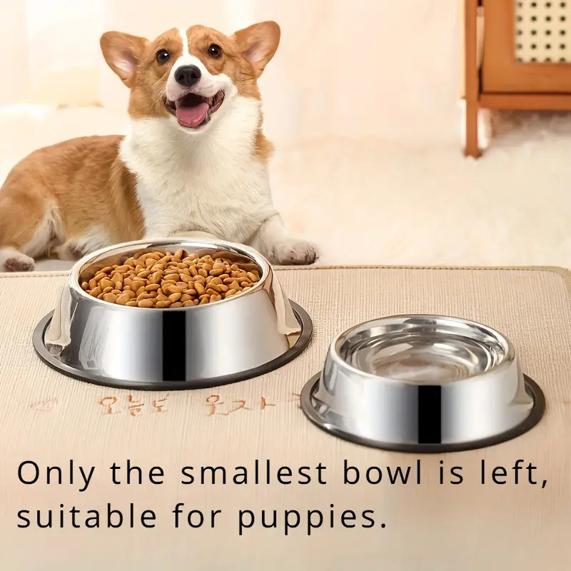 Antislip roestvrijstalen honde - Pet Supplies Dropshipping recensie en prijs