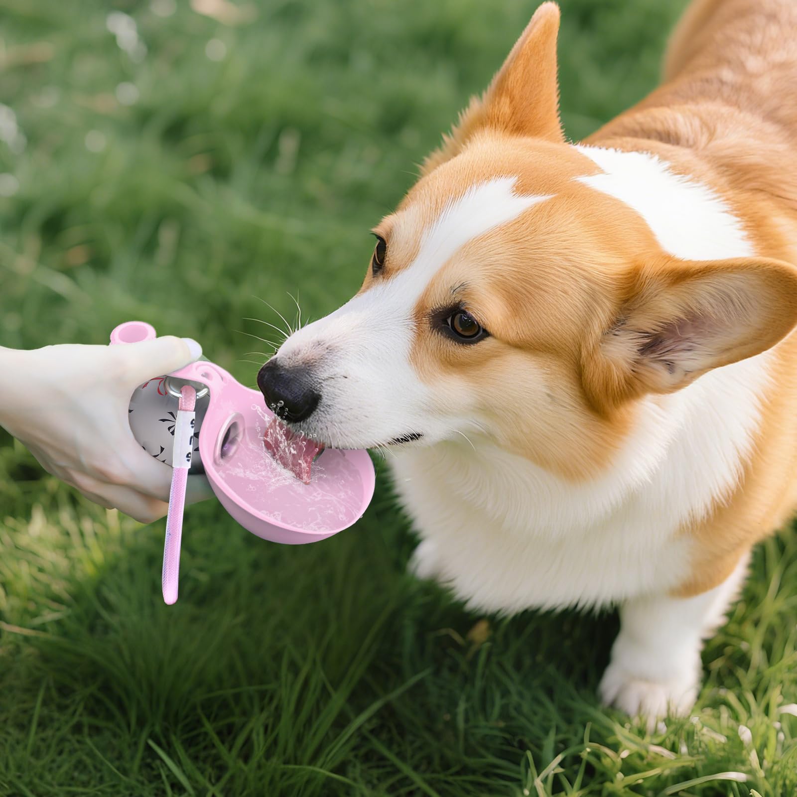 2-in-1 Draagbare Hondenwaterfl - Pet Supplies Dropshipping recensie en prijs