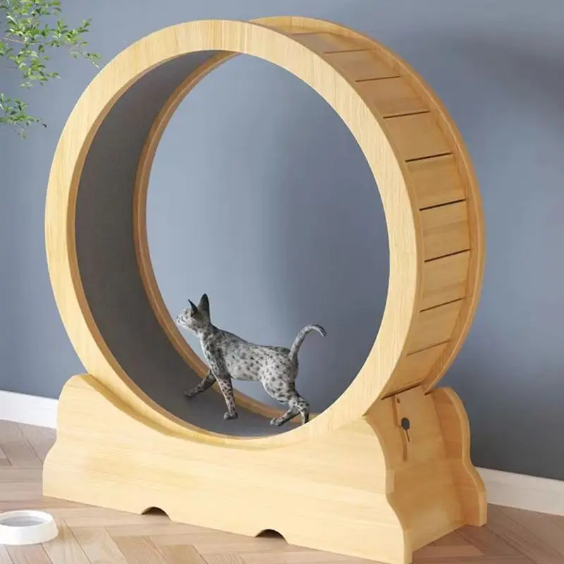 Kat fitnesswiel binnenspeelgoe - Interactive Cat Toy recensie en prijs